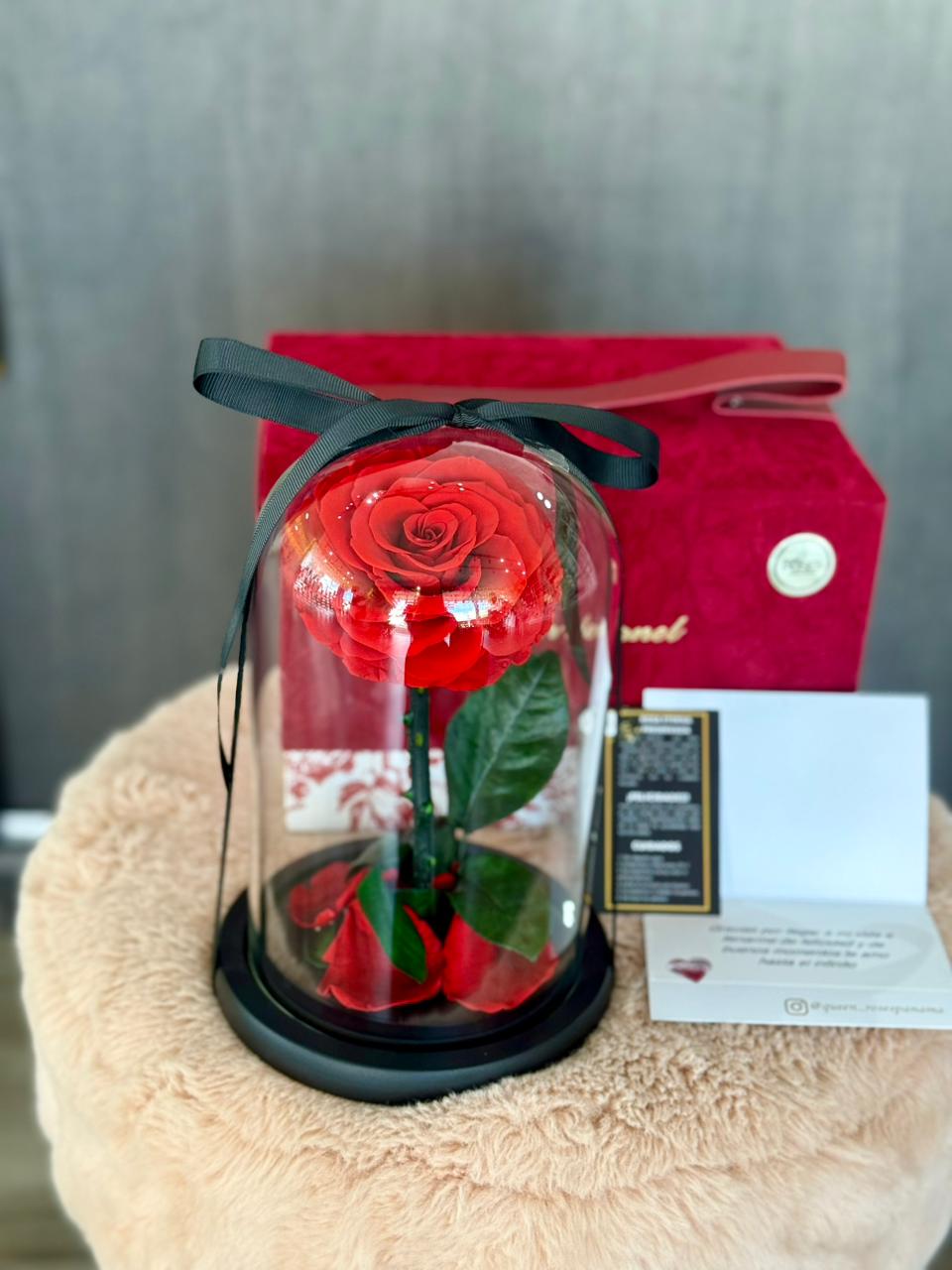 Rosa eterna en cúpula de cristal